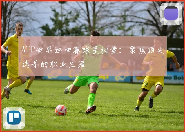 ATP世界巡回赛球星档案：聚焦顶尖选手的职业生涯