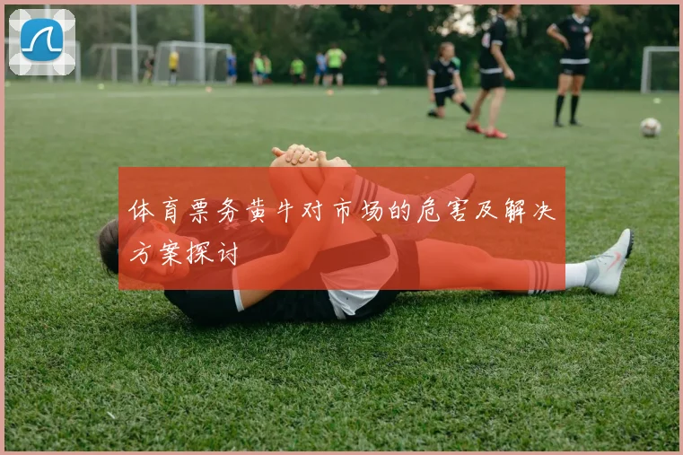 体育票务黄牛对市场的危害及解决方案探讨