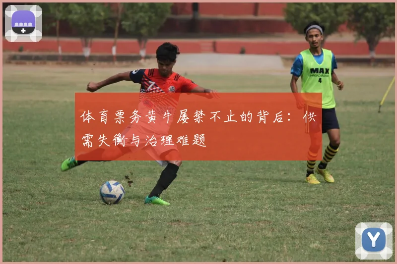 体育票务黄牛屡禁不止的背后：供需失衡与治理难题
