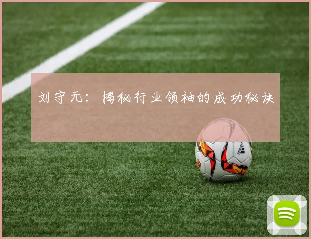 刘守元：揭秘行业领袖的成功秘诀